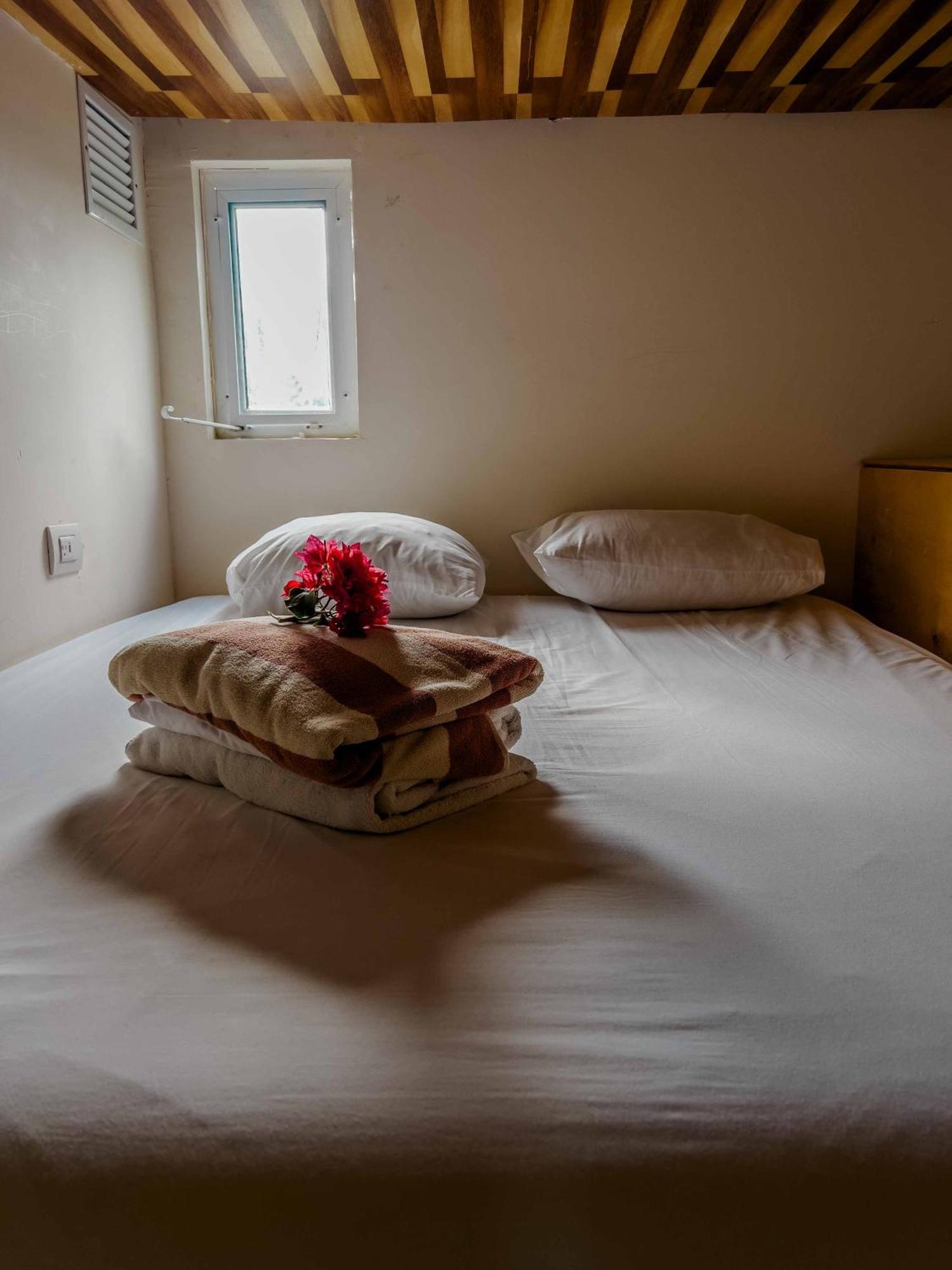 Oostel Smart Hostel - Tulum Pueblo (Adults Only) מראה חיצוני תמונה